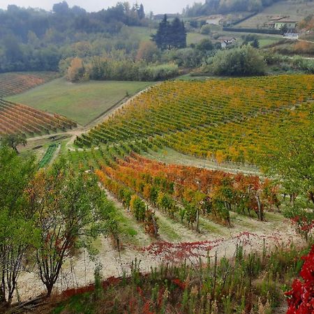 La Giribaldina Winery & Farmhouse Calamandrana Dış mekan fotoğraf