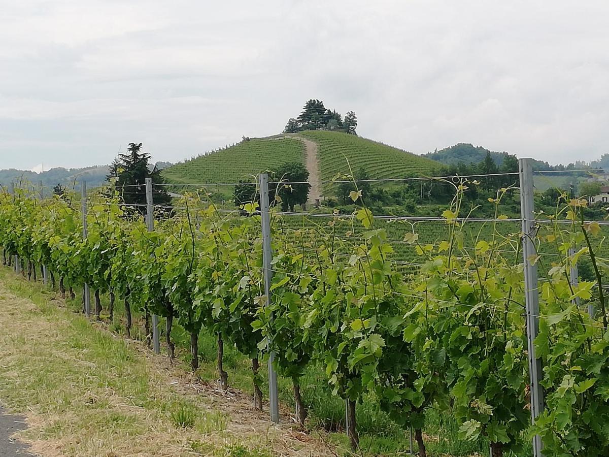 La Giribaldina Winery & Farmhouse Calamandrana Dış mekan fotoğraf