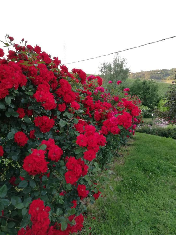 La Giribaldina Winery & Farmhouse Calamandrana Dış mekan fotoğraf