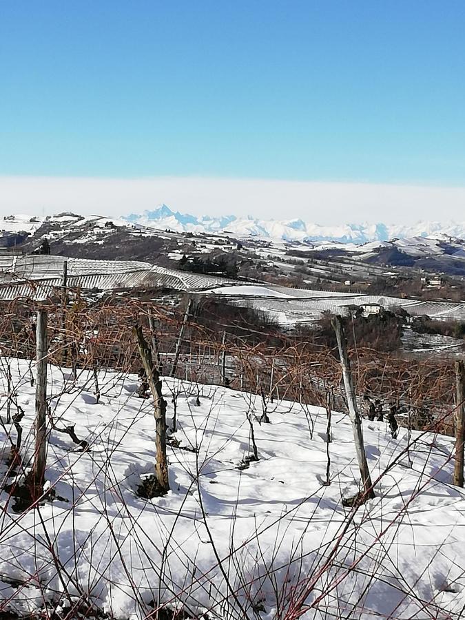 La Giribaldina Winery & Farmhouse Calamandrana Dış mekan fotoğraf