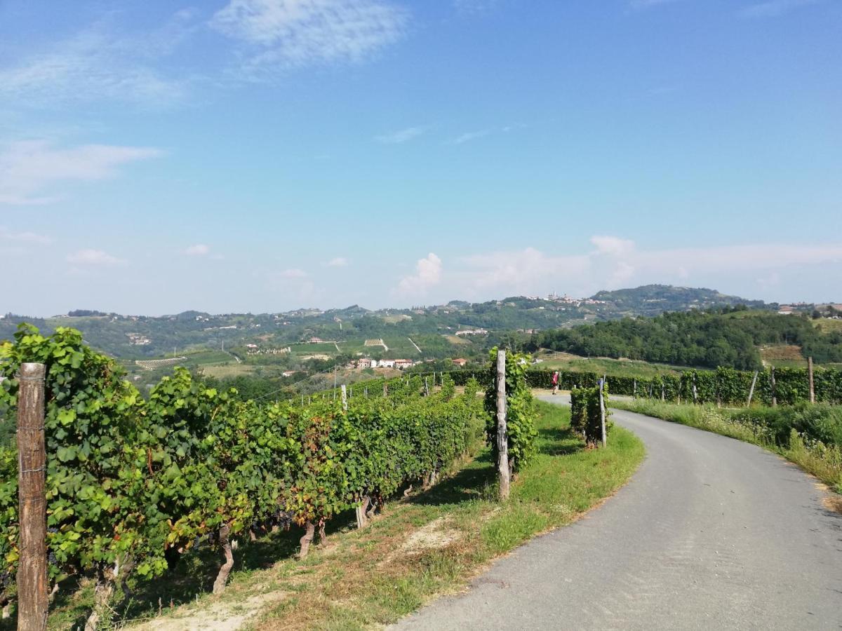 La Giribaldina Winery & Farmhouse Calamandrana Dış mekan fotoğraf