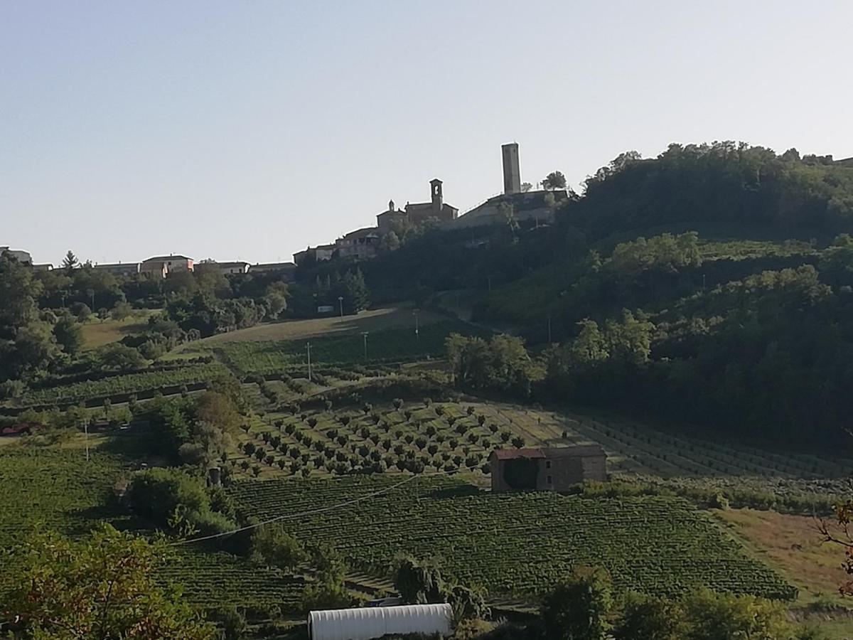 La Giribaldina Winery & Farmhouse Calamandrana Dış mekan fotoğraf