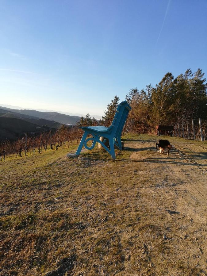 La Giribaldina Winery & Farmhouse Calamandrana Dış mekan fotoğraf