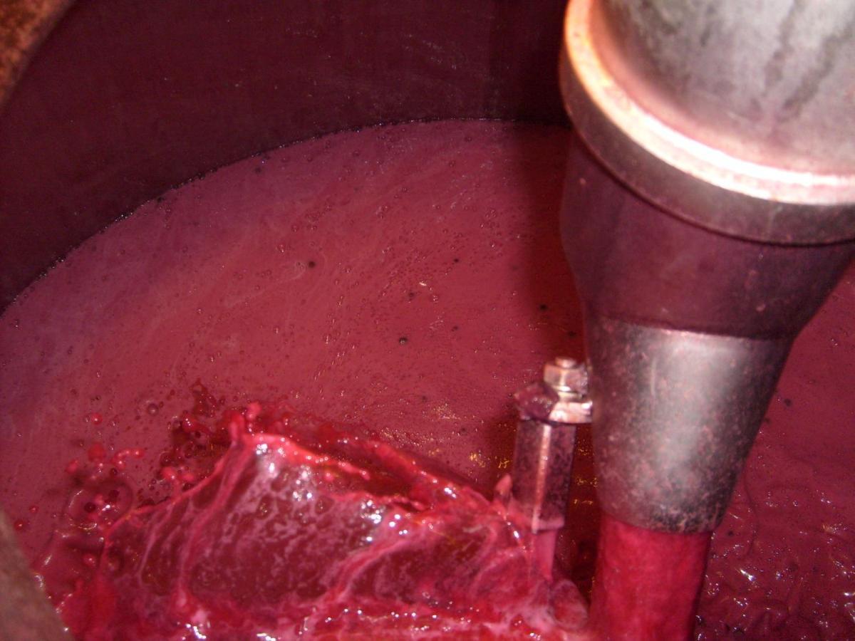 La Giribaldina Winery & Farmhouse Calamandrana Dış mekan fotoğraf