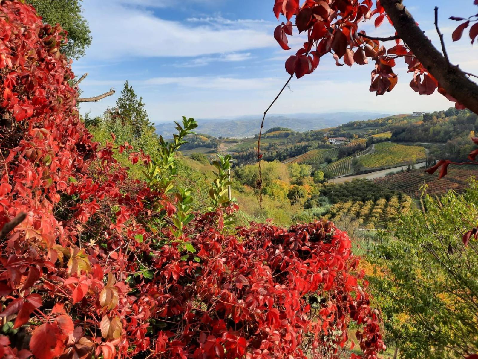 La Giribaldina Winery & Farmhouse Calamandrana Dış mekan fotoğraf