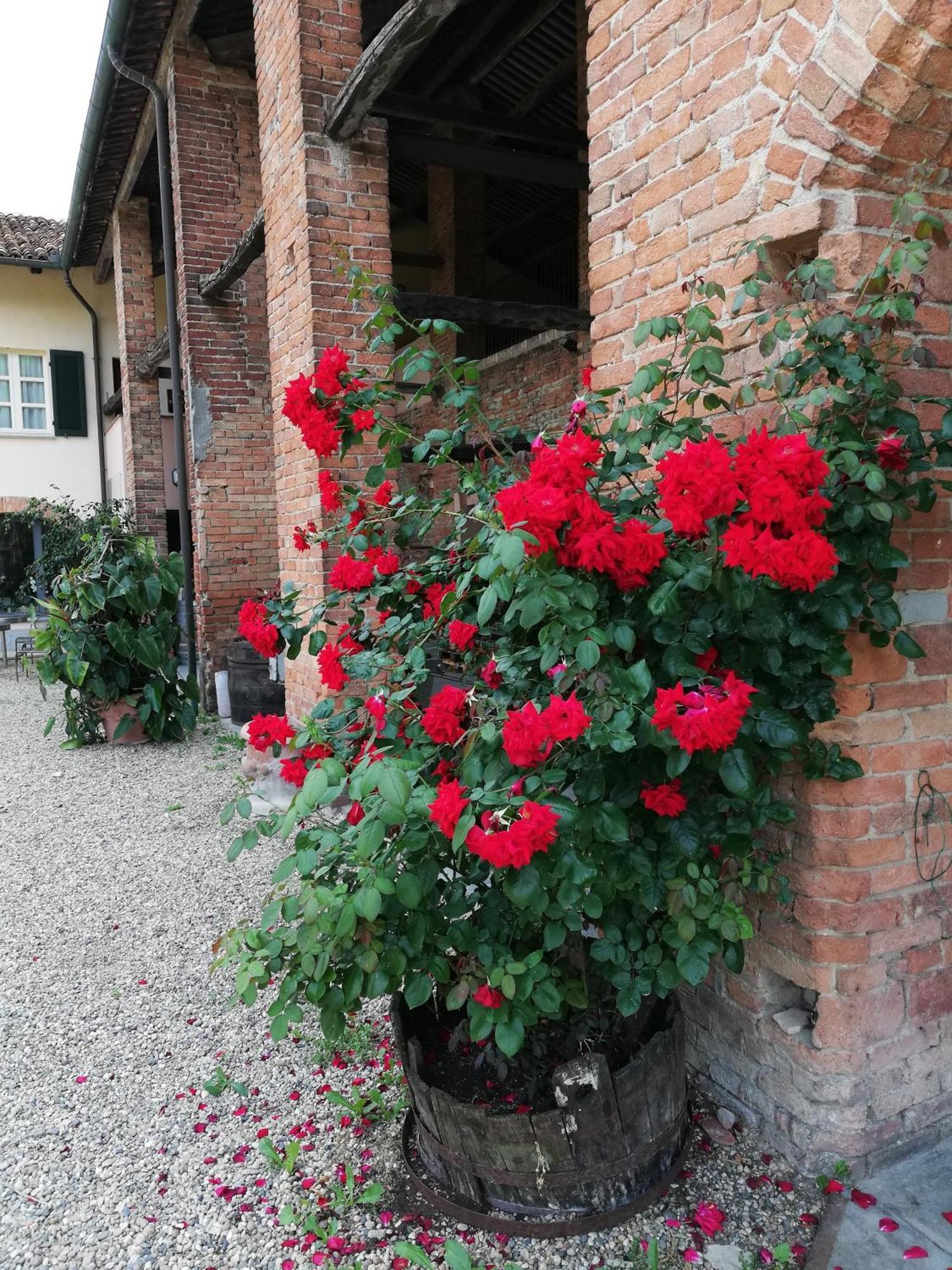 La Giribaldina Winery & Farmhouse Calamandrana Dış mekan fotoğraf