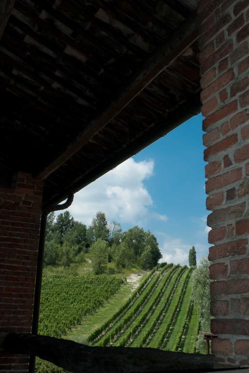 La Giribaldina Winery & Farmhouse Calamandrana Dış mekan fotoğraf