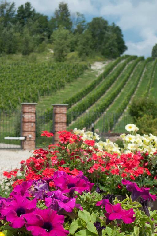 La Giribaldina Winery & Farmhouse Calamandrana Dış mekan fotoğraf